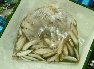 sinnko005.jpg
