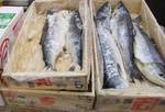 siomasu0702012.jpg