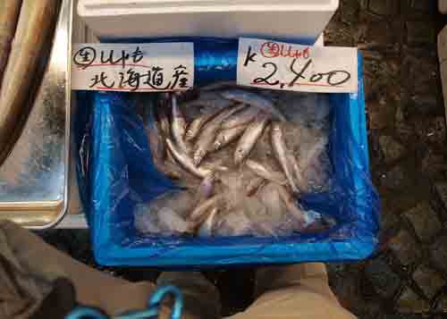 sishamo09.jpg