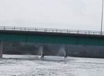suijoubaiku071111.jpg