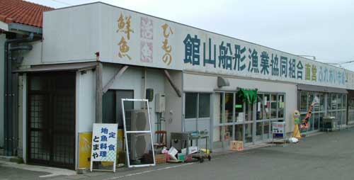 tomaya0001.jpg