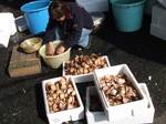 torigai07041.jpg