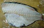 tubodai0704111.jpg