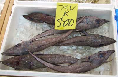 tukusiii.jpg