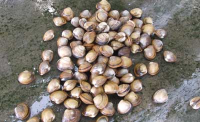 ubagai000002.jpg
