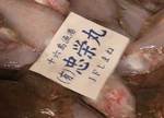upurui080212.jpg