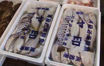 yajirusi.jpg