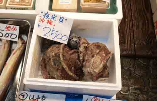 yakougai09.jpg
