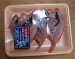 yumekasago08121211111.jpg